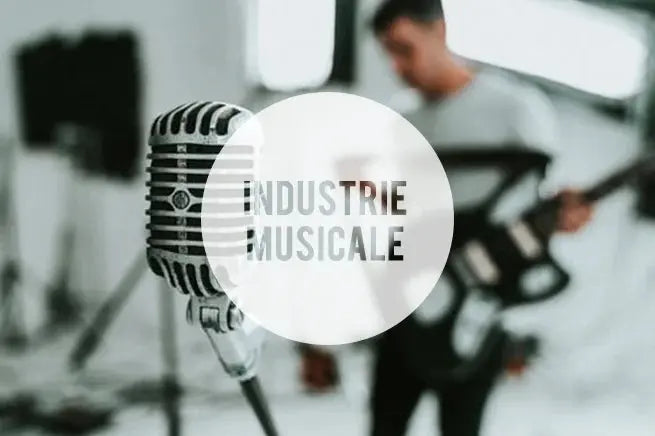 Qu-est-ce-qu-un-intermittent-du-spectacle Hedayat Music