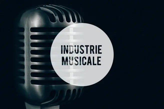 Se-lancer-dans-le-monde-de-la-musique-Partie-1 Hedayat Music